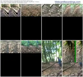 cam4-outandabout-08-02-2024-12-56-14