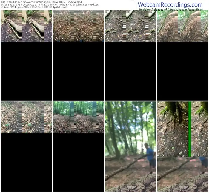 cam4-outandabout-08-02-2024-12-56-14