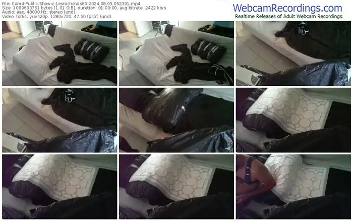 cam4-lesrochelais60-08-03-2024-05-23-01