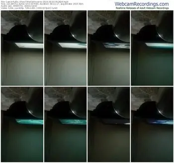 cam4-merlotinvierno-08-03-2024-05-28-24