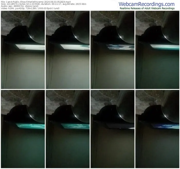 cam4-merlotinvierno-08-03-2024-05-28-24