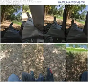 cam4-polli_play-08-04-2024-11-16-33