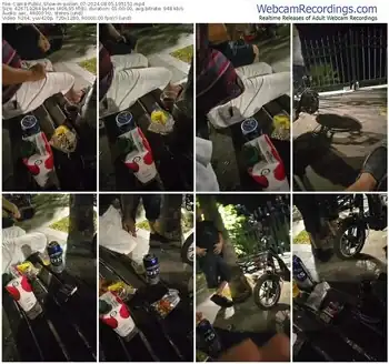 cam4-pollen_07-08-05-2024-19-51-51