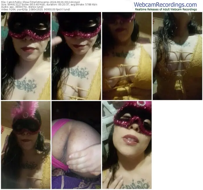 cam4-merlotinvierno-08-06-2024-03-11-44