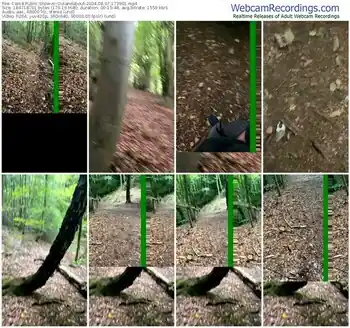 cam4-outandabout-08-07-2024-17-39-01