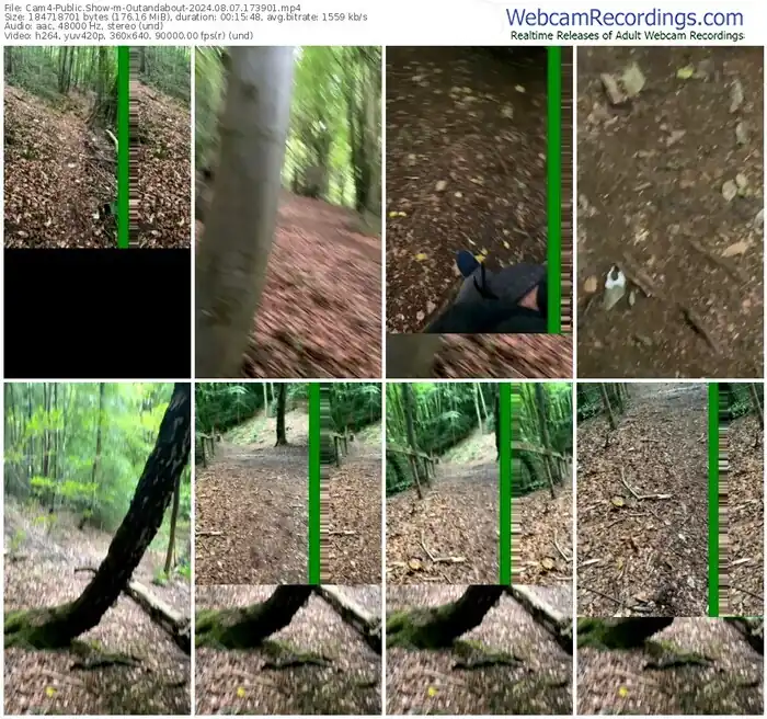 cam4-outandabout-08-07-2024-17-39-01