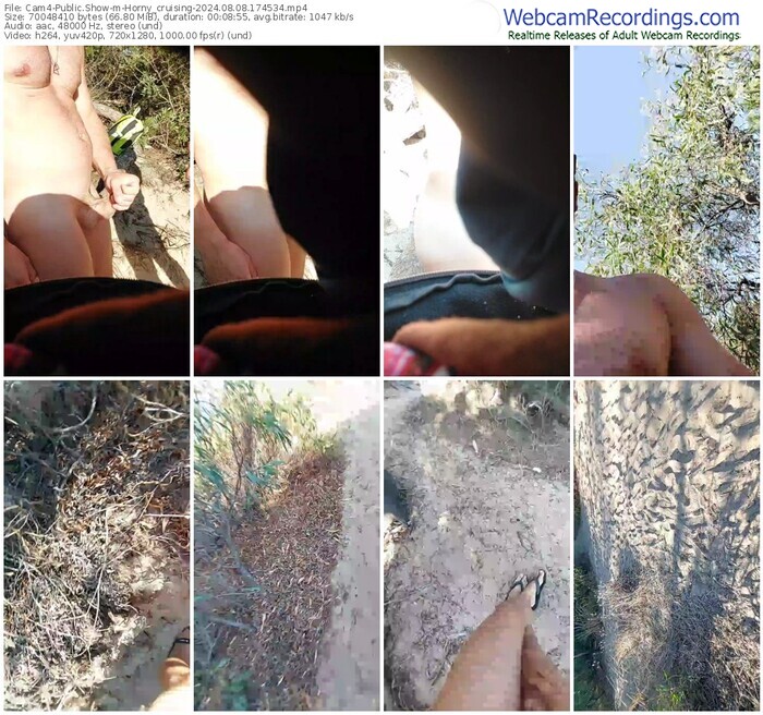 cam4-horny_cruising-08-08-2024-17-45-34