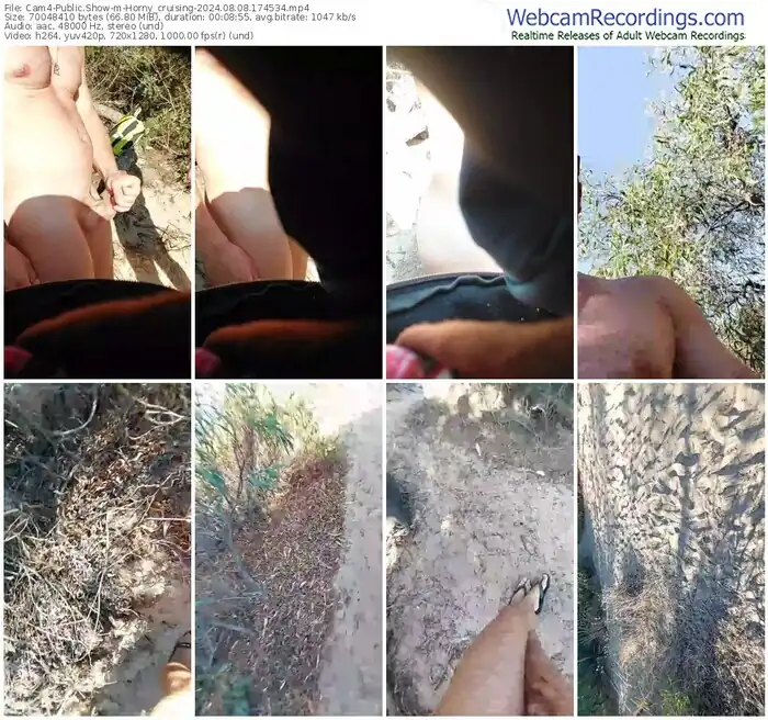 cam4-horny_cruising-08-08-2024-17-45-34