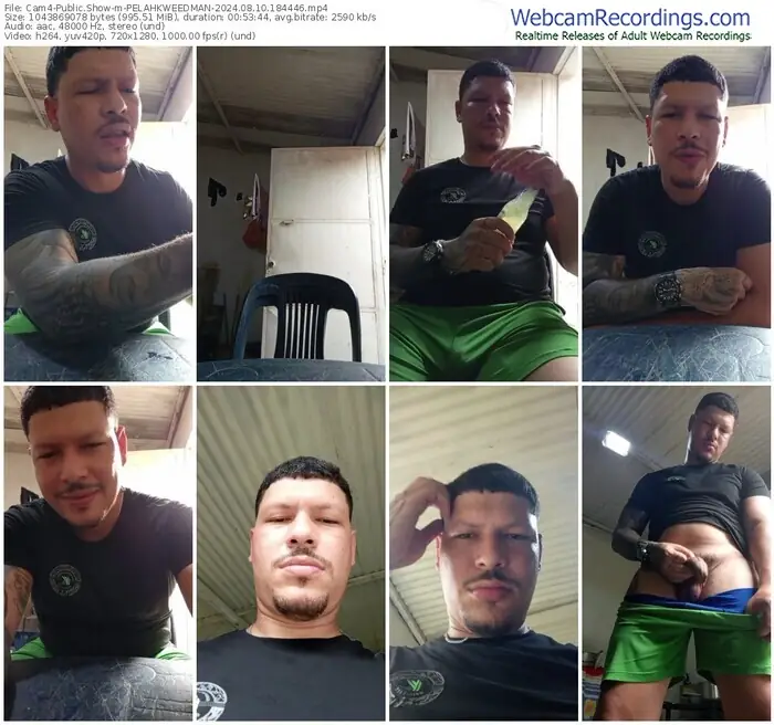 cam4-pelahkweedman-08-10-2024-18-44-46