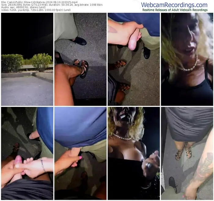 cam4-erikatxsv-08-10-2024-20-33-25