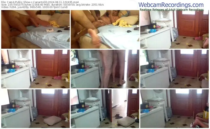 cam4-canarito30-08-11-2024-10-24-35