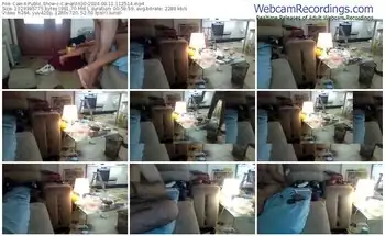 cam4-canarito30-08-11-2024-11-25-14