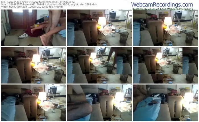 cam4-canarito30-08-11-2024-11-25-14