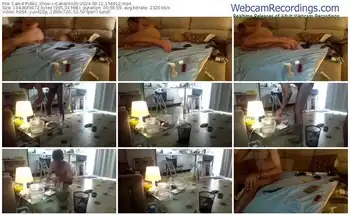 cam4-canarito30-08-11-2024-15-49-12