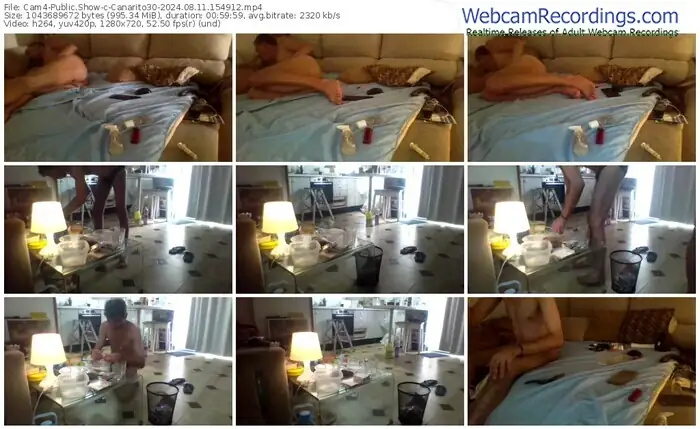 cam4-canarito30-08-11-2024-15-49-12