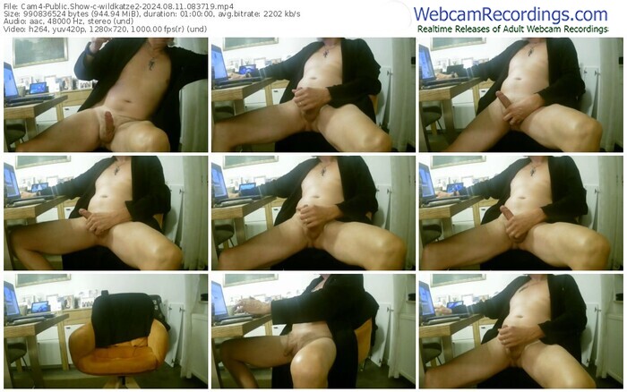 cam4-wildkatze2-08-11-2024-08-37-19