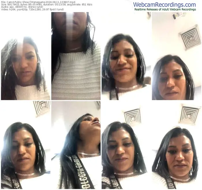 cam4-meneguete-08-11-2024-10-38-07