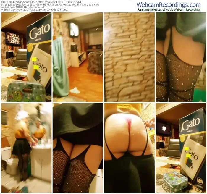 cam4-merlotinvierno-08-11-2024-03-19-00