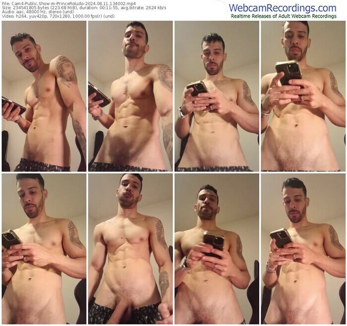 cam4-princeroludo-08-11-2024-13-40-02