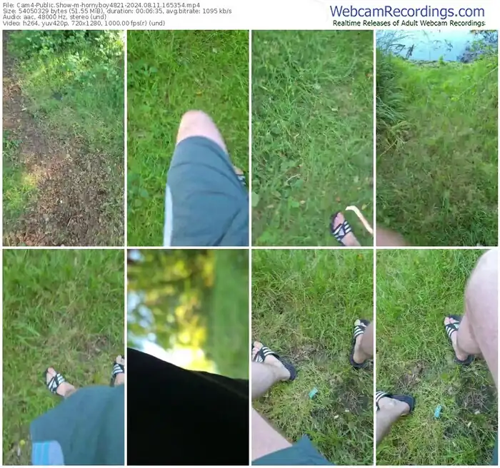 cam4-hornyboy4821-08-11-2024-16-53-54