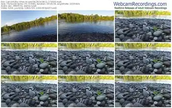 cam4-remi06-08-11-2024-17-40-33