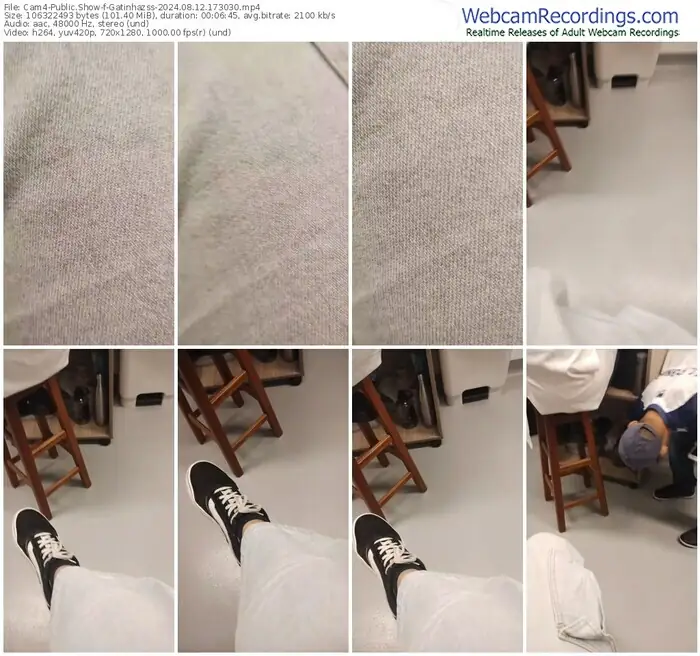 cam4-gatinhazss-08-12-2024-17-30-30