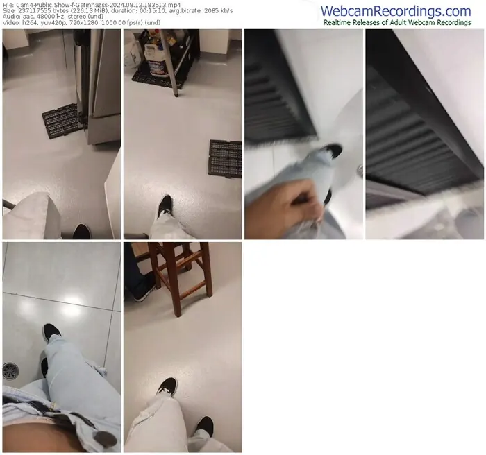 cam4-gatinhazss-08-12-2024-18-35-13