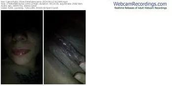 cam4-merlotinvierno-08-12-2024-01-19-49