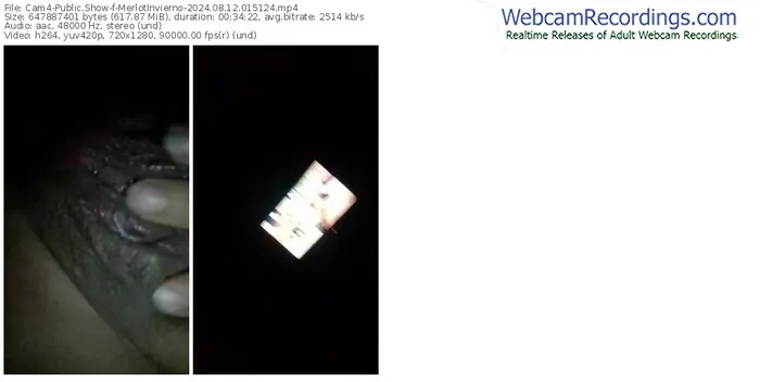 cam4-merlotinvierno-08-12-2024-01-51-24