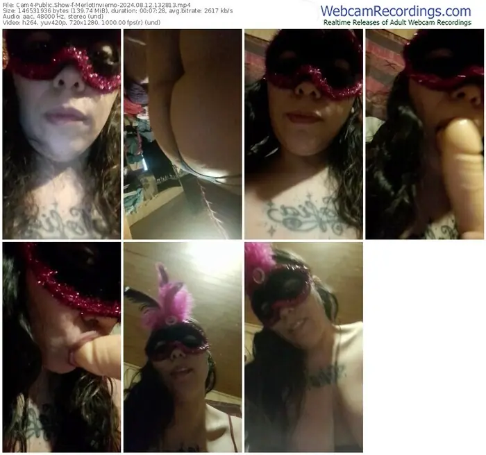 cam4-merlotinvierno-08-12-2024-13-28-13