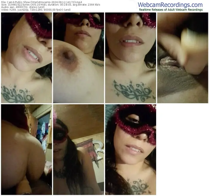 cam4-merlotinvierno-08-12-2024-14-17-23