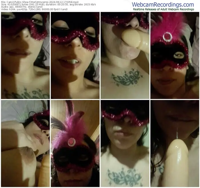 cam4-merlotinvierno-08-12-2024-17-00-58