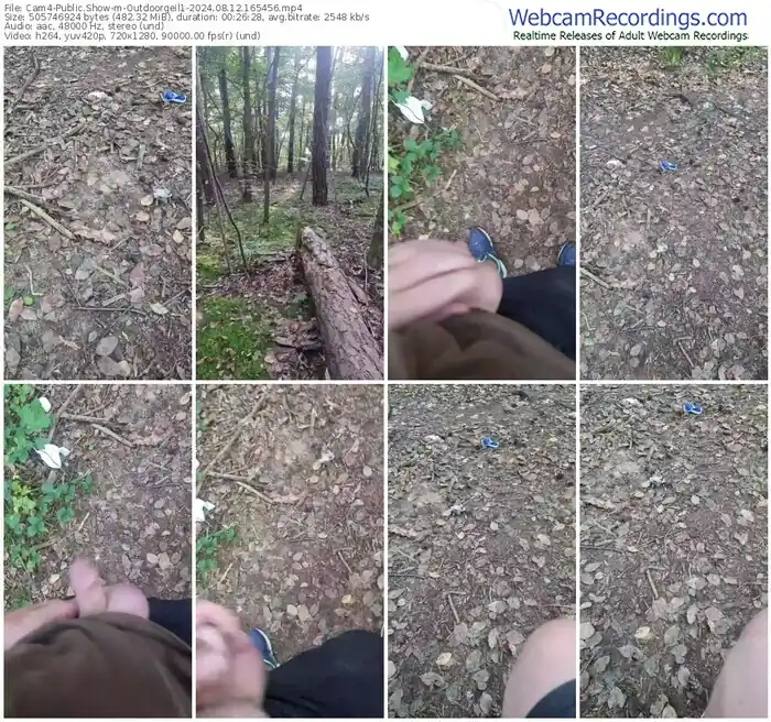 cam4-outdoorgeil1-08-12-2024-16-54-56