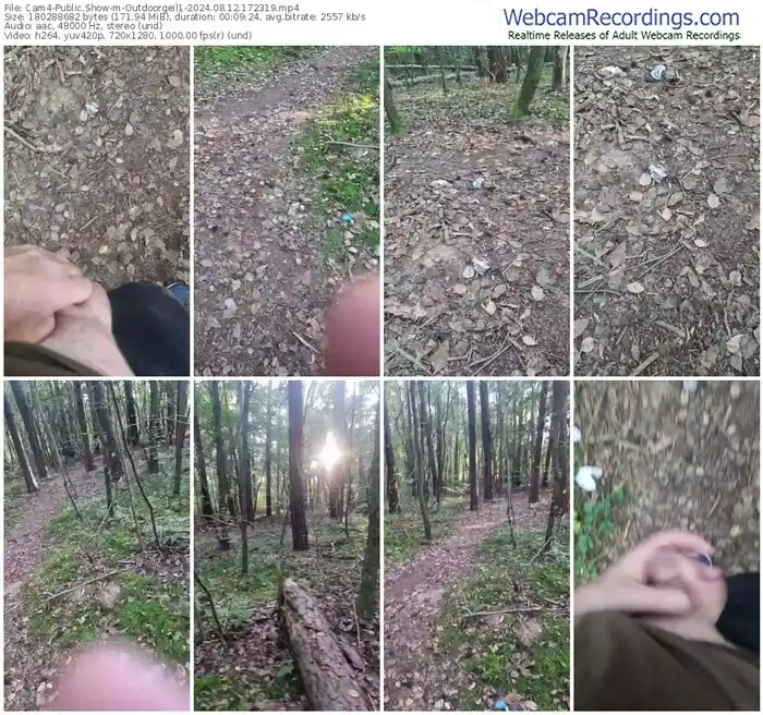 cam4-outdoorgeil1-08-12-2024-17-23-19