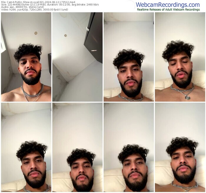 cam4-vyali321-08-12-2024-17-35-12