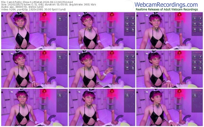 cam4-littlekat-08-12-2024-04-13-54