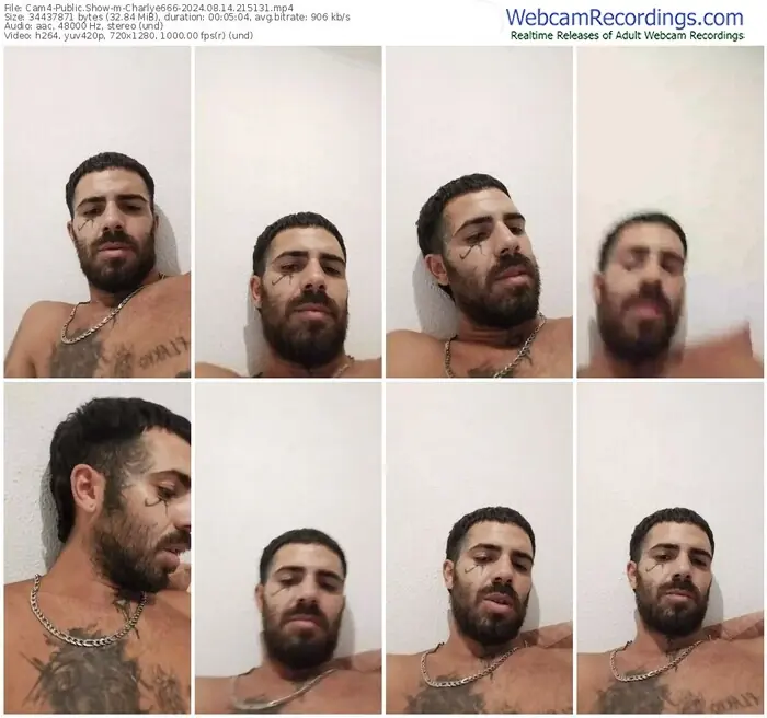 cam4-charlye666-08-14-2024-21-51-31