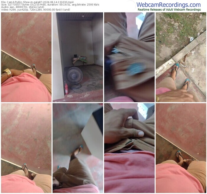 cam4-gala87-08-14-2024-13-16-30
