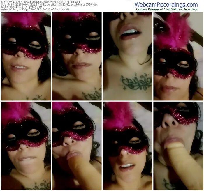 cam4-merlotinvierno-08-15-2024-07-41-48