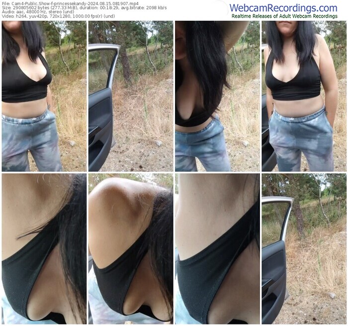 cam4-princessekandy-08-15-2024-08-19-07