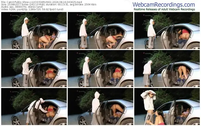 cam4-luckydarling1-08-16-2024-04-34-25