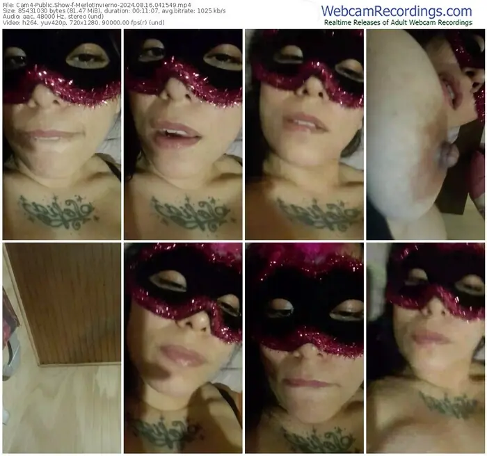 cam4-merlotinvierno-08-16-2024-04-15-49