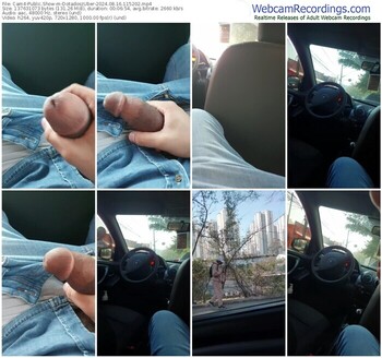 cam4-dotadoszuber-08-16-2024-11-52-02