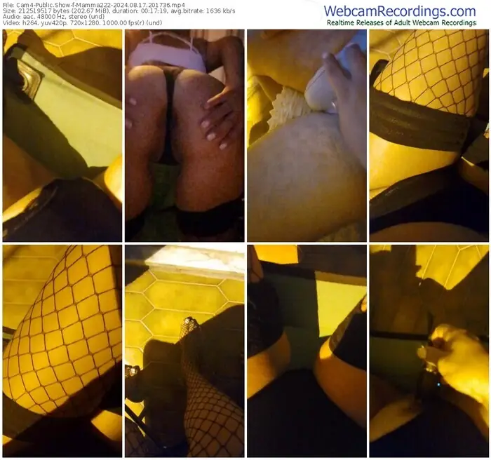 cam4-mamma222-08-17-2024-20-17-36