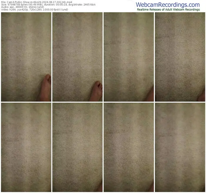 cam4-eko29-08-17-2024-00-12-41