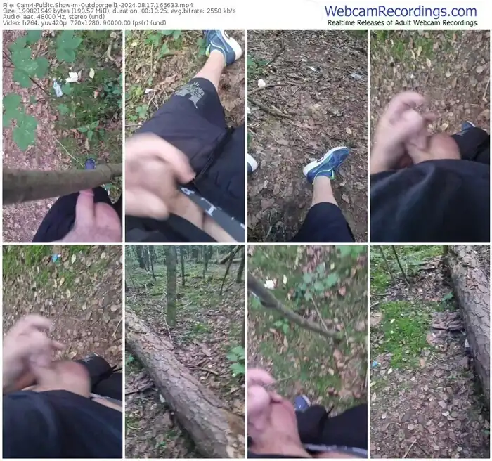 cam4-outdoorgeil1-08-17-2024-16-56-33