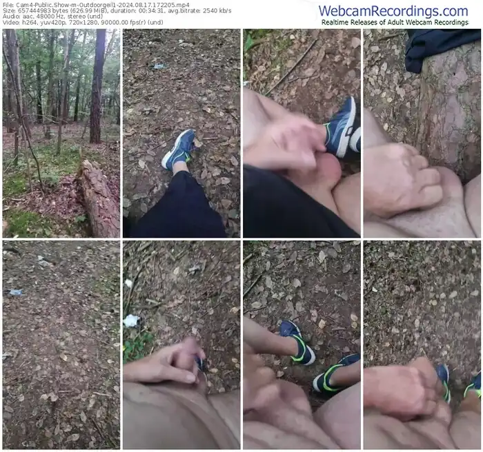 cam4-outdoorgeil1-08-17-2024-17-22-05