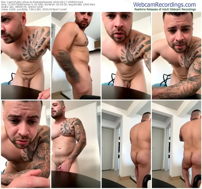 cam4-pedrobarboza01-08-17-2024-18-35-00