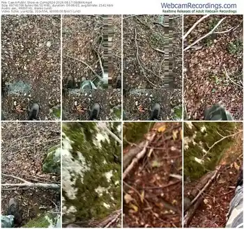 cam4-zorro2024-08-17-2024-08-08-44