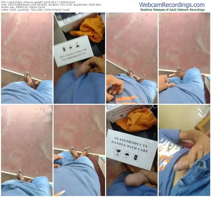 cam4-gala87-08-17-2024-14-06-34